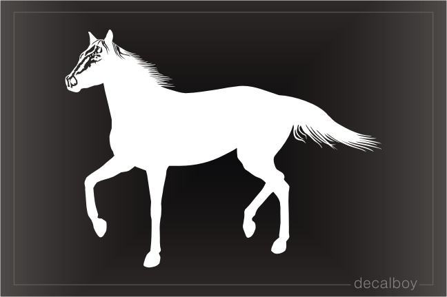 American Quarter Horse Window Decal