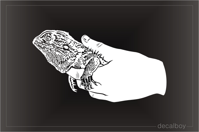 Bearded Dragon Pet In Human Hand Decal