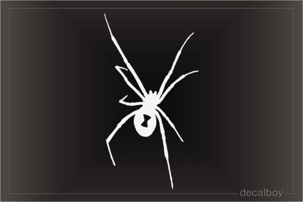 Black Widow Spider Decal