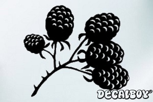 Blackberry Car Window Decal