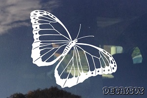 Blue Morpho Decal