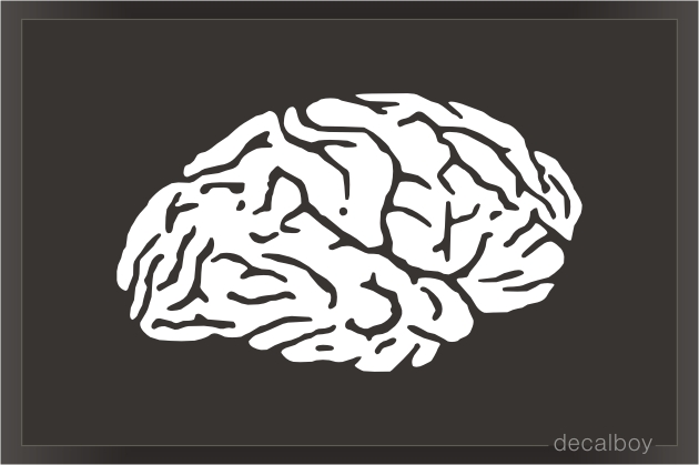 Brain Decal