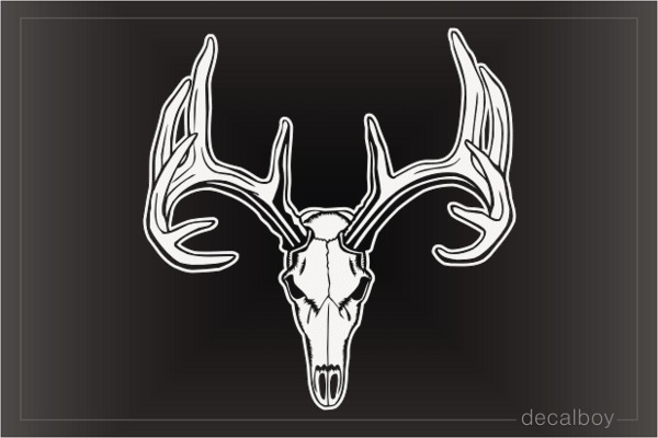 Buck Skull Decal