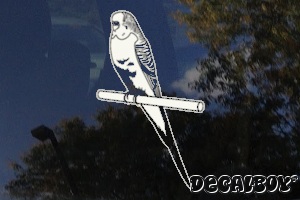 Budgie Budgerigar Parrot Window Decal