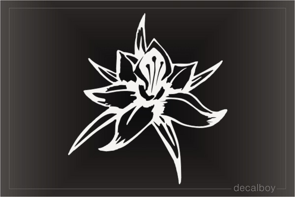 Cattleya Flower Window Decal