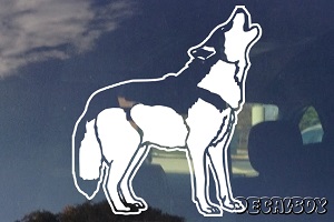 Coyote Window Decal