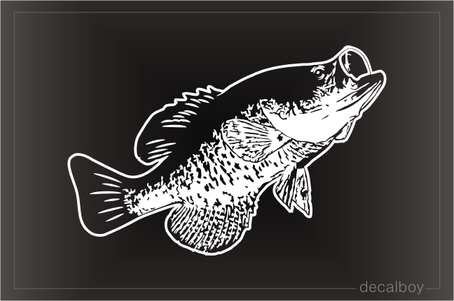 Crappie Fishing Decal