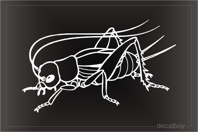 Cricket Window Decal