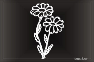 Daisy Flowers Window Decal