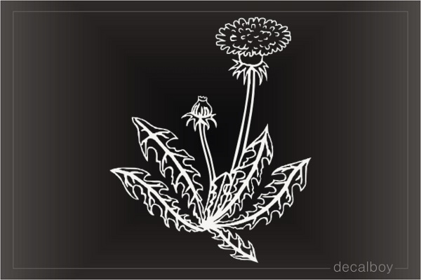 Dandelion Window Decal