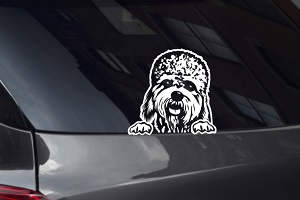 Dandie Dinmont Terrier Looking Out Window Decal