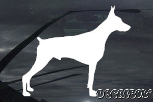 Doberman Pinscher Decal