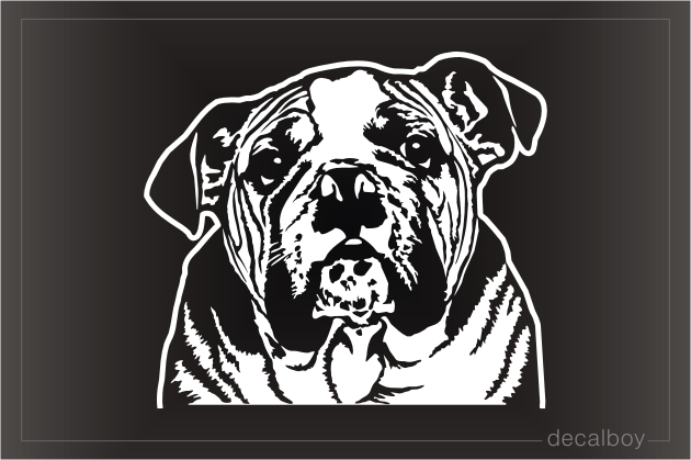 English Bulldog Face Decal