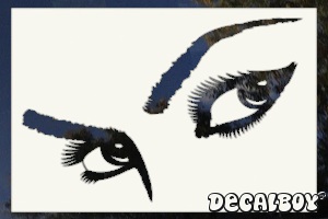 Eyes Look Car Window Decal