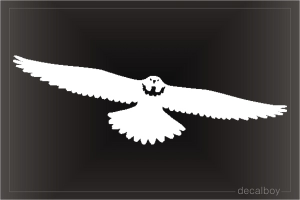 Flying Falcon Window Decal