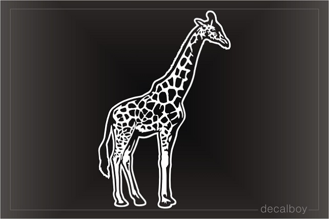 Giraffe Window Decal