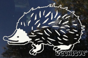 Hedgehog Window Decal