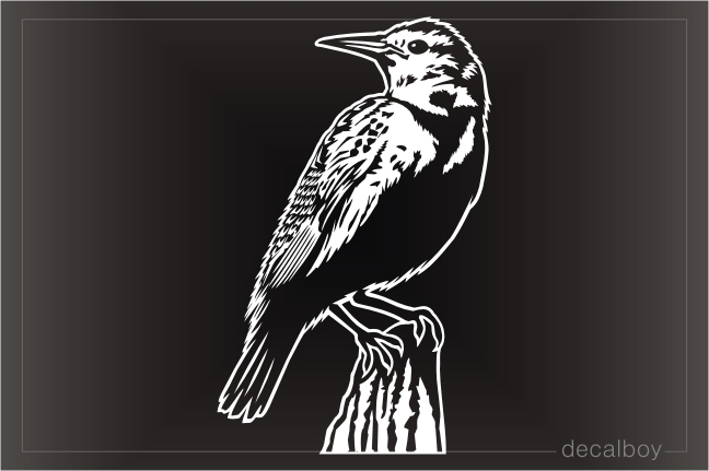 Kansas Bird Western Meadowlark Decal