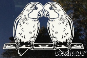 Kissing Lovebirds Window Decal