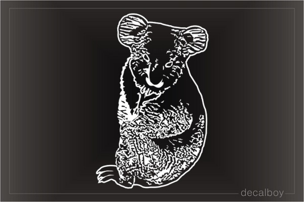 Koala Bear Marsupial Window Decal