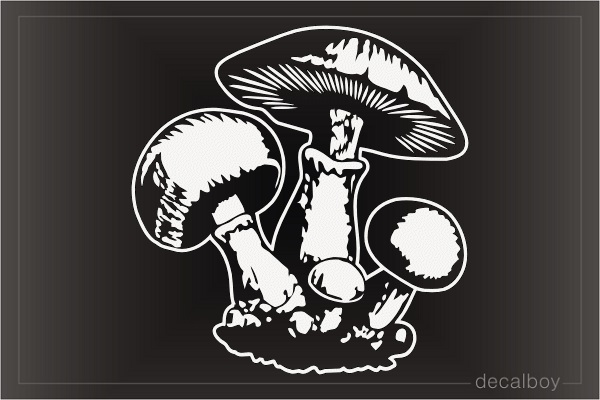 Kombucha Tea Mushroom Decal