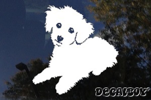 Maltipoo Dog Car Decal