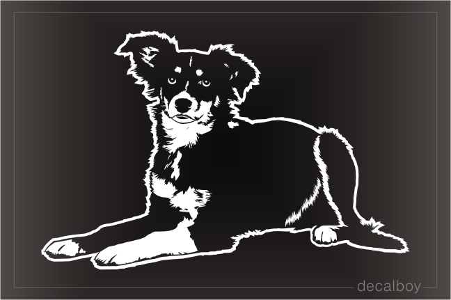 Miniature American Shepherd Decal