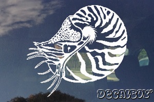 Nautilus Beautiful Shell Window Decal