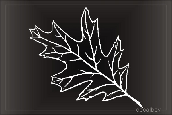Autumn Red Oak Leaf Window Decal