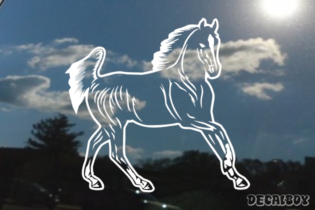 Palomino Arabian Horse Decal