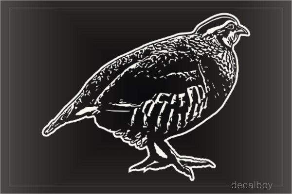 Partridge Bird Hunting Window Decal