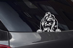 Pekingese Looking Out Window Decal