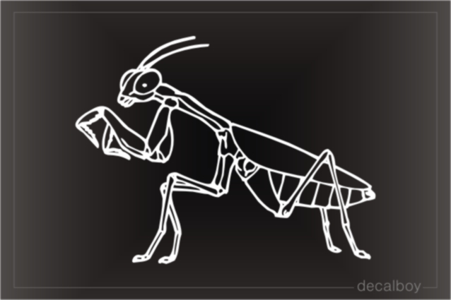 Praying Mantis Window Decal