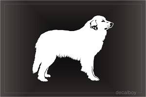 Pyrenean Mountain Dog Decal