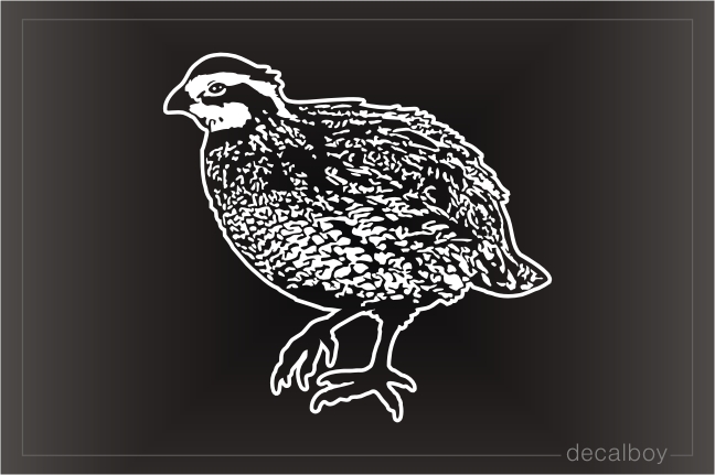 Quail Bird Hunting Window Decal