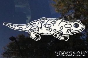 Salamander Window Decal