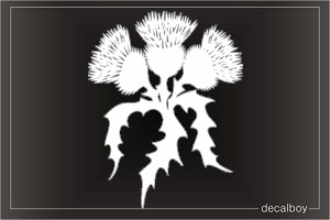 Scottish Kilt Thistle Flower Window Decal