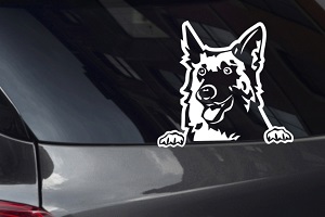 Shepherd Looking Out Window Decal