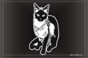 Siamese Cat Window Decal