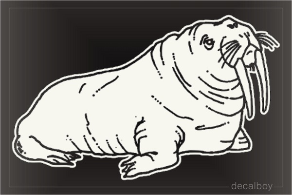 Walrus Window Decal