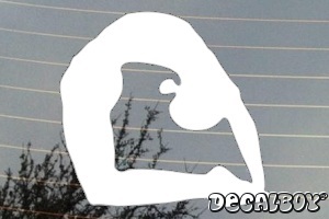 Yoga Ustrasana Decal