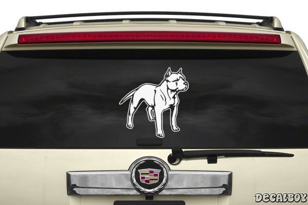 Decal American Pit Bull