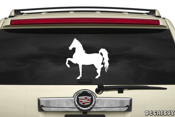 Decal American Saddlebred