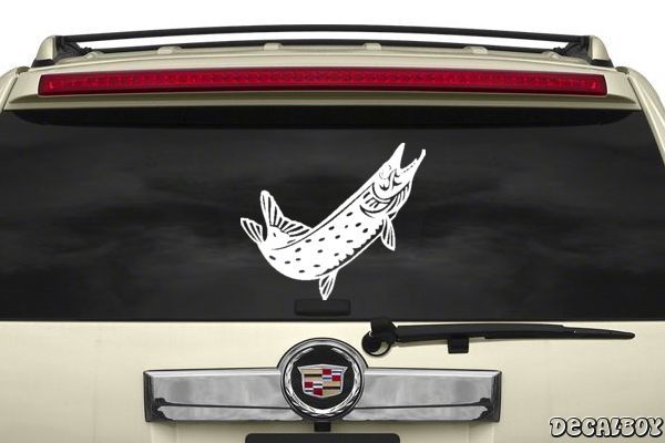 Decal Barracuda