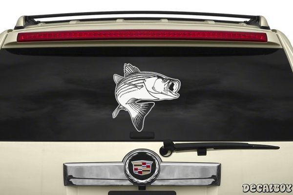 Decal Bass