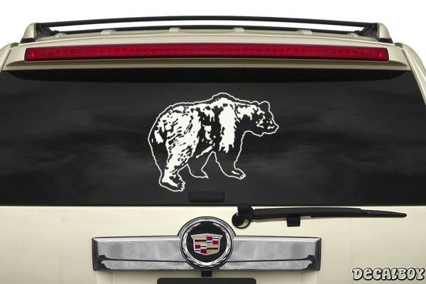 Decal Bear