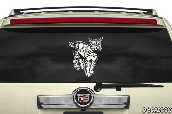 Decal Bobcat