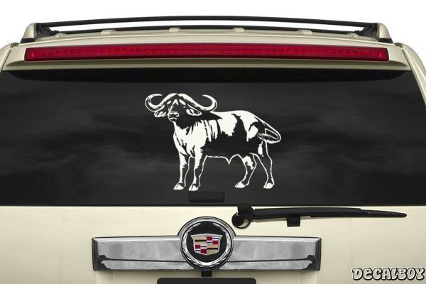 Decal Buffalo