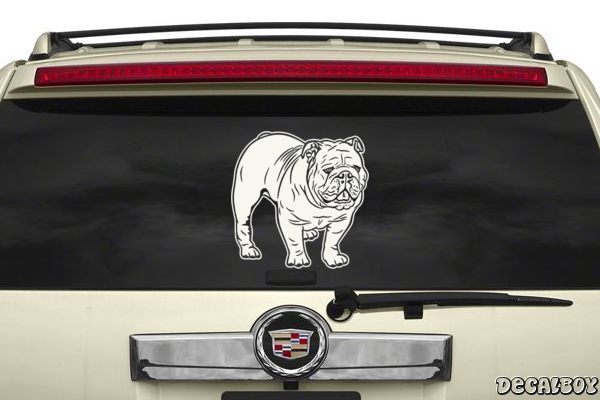 Decal Bulldog