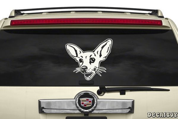 Decal Chihuahua